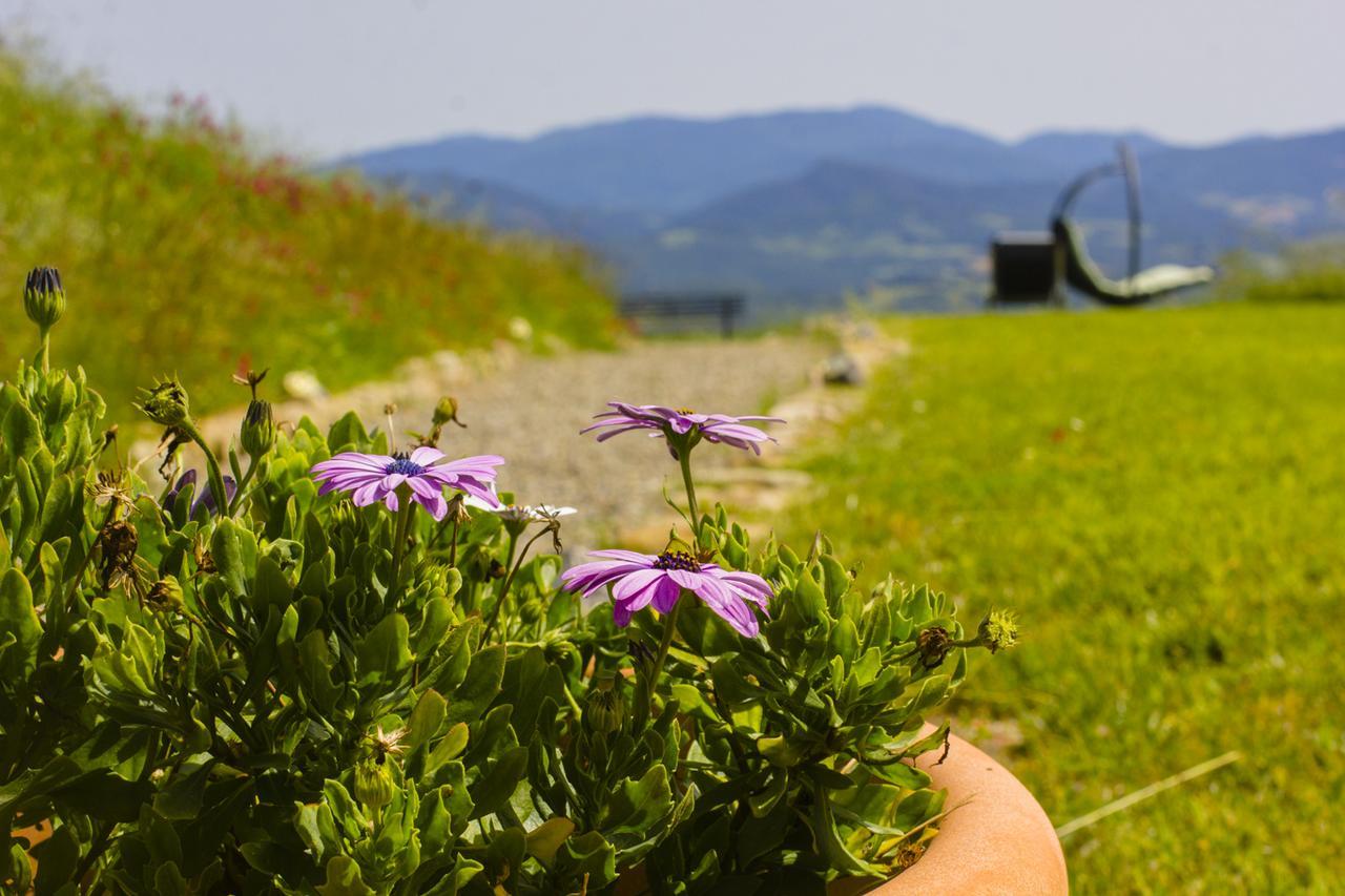 In Canto Sul Poggio Bed and Breakfast Volterra Buitenkant foto
